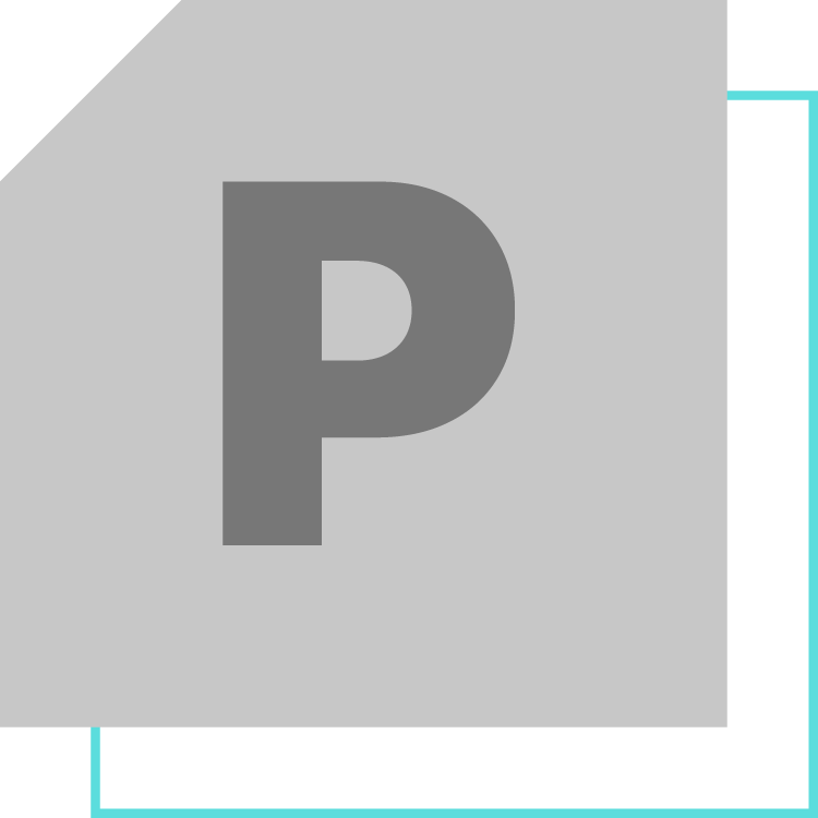 Platinum Sponsor